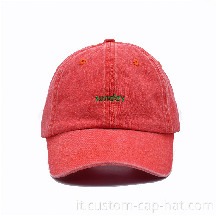 Wash Dad Cap